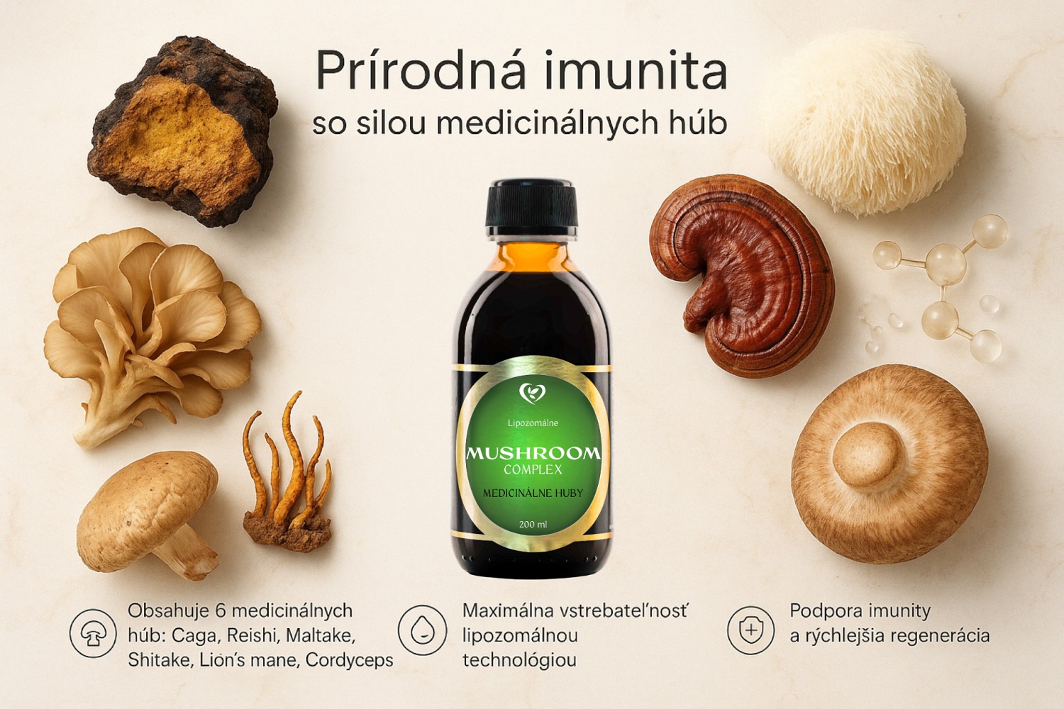 Zdravy svet mushroom popis